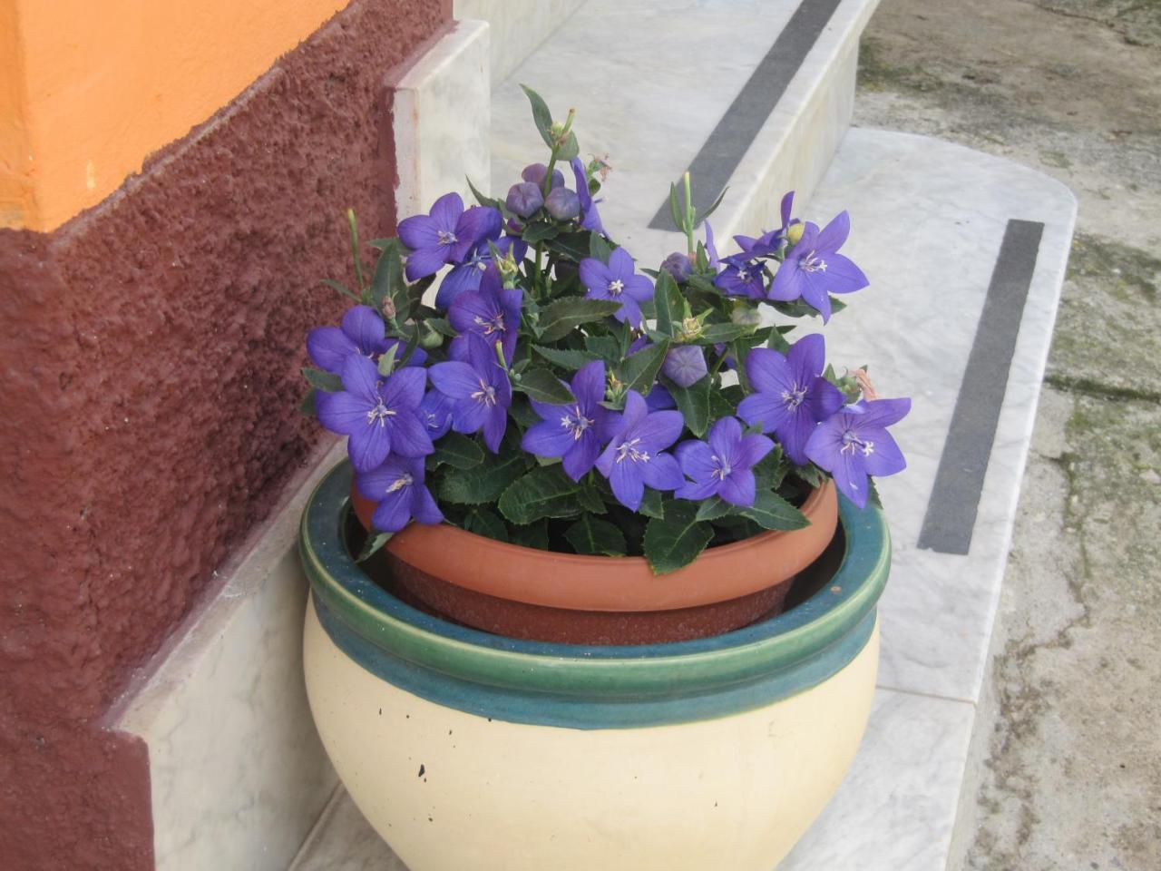 Montagne Rocciose Bed & Breakfast Frascineto Exterior photo